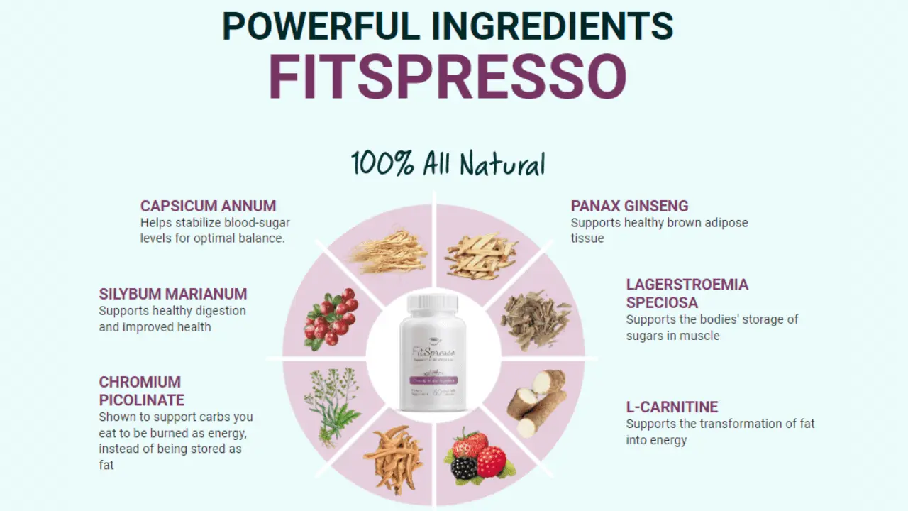 Fitspresso Ingredient List